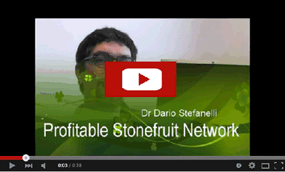 Stonefruit Link