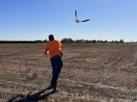 Growers Experience RoBird Drone in Action at McNab Orchards