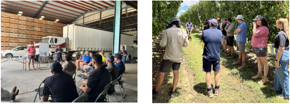 Workshop Recap:  Shed Talk & Orchard Walk