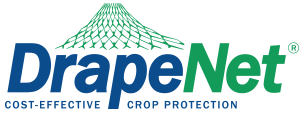 DrapeNet