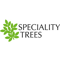 Speciality-Trees.jpg
