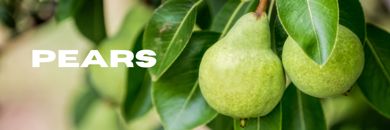 pears